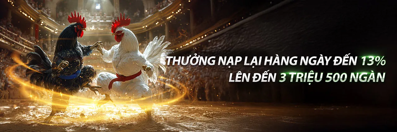 Đá Gà Trực Tiếp C4 C Năm tại KK88 Win